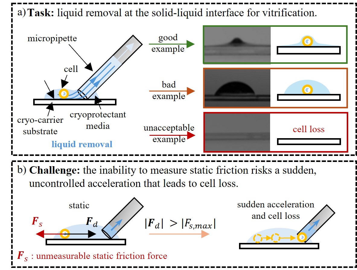 Robotic Cell Manipulation at the Solid-Liquid Interface for Cryopreservation