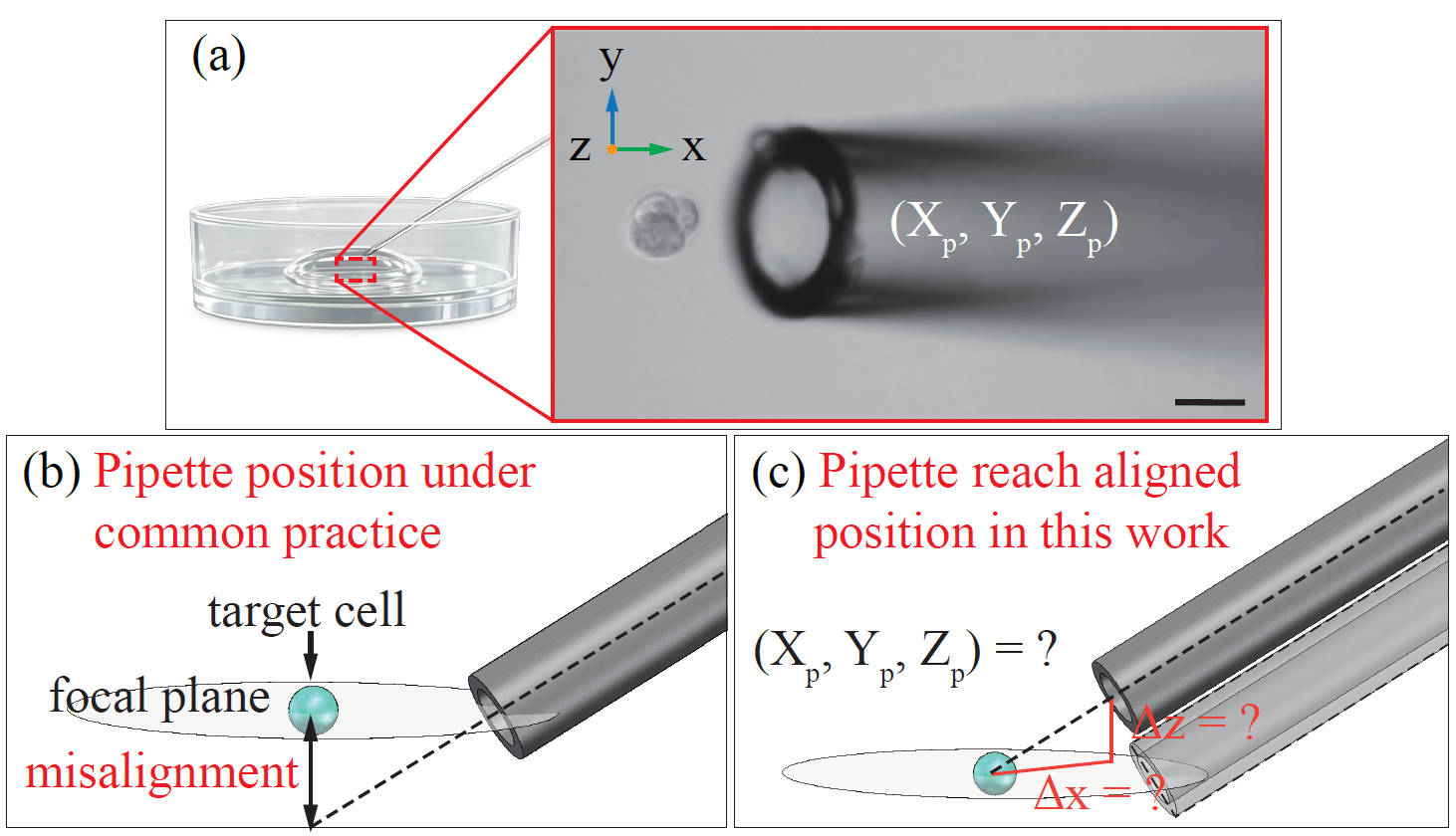 Aligning the Micropipette in Three-Dimensional Space for Robotic Cell Aspiration