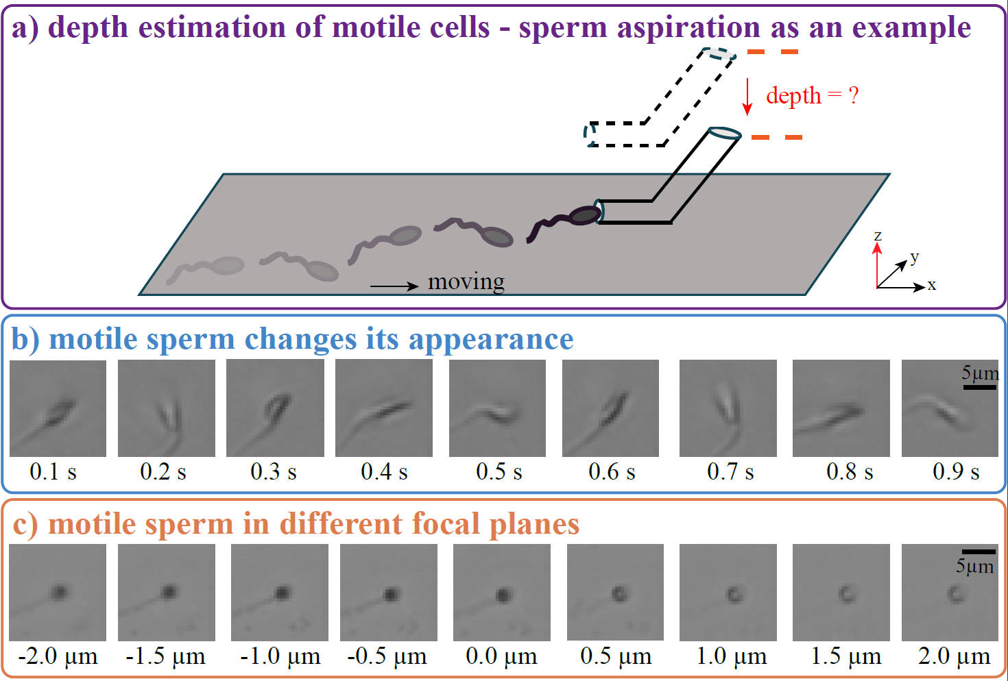 Fine-Grained Classification for Depth Estimation from Monocular Microscopy for Robotic Micromanipulation of Motile Cells